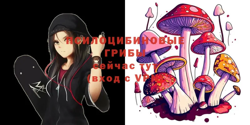 купить  цена  Красноуральск  Галлюциногенные грибы Cubensis 